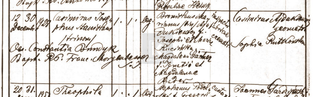 akt urodzenia Kazimierz Ajdukiewicz