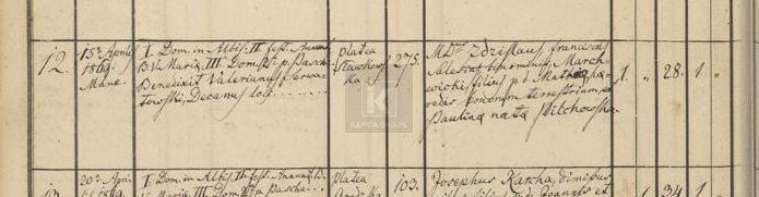 akt ślubu Zdzisław Marchwicki
