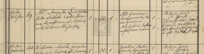akt ślubu Zdzisław Marchwicki